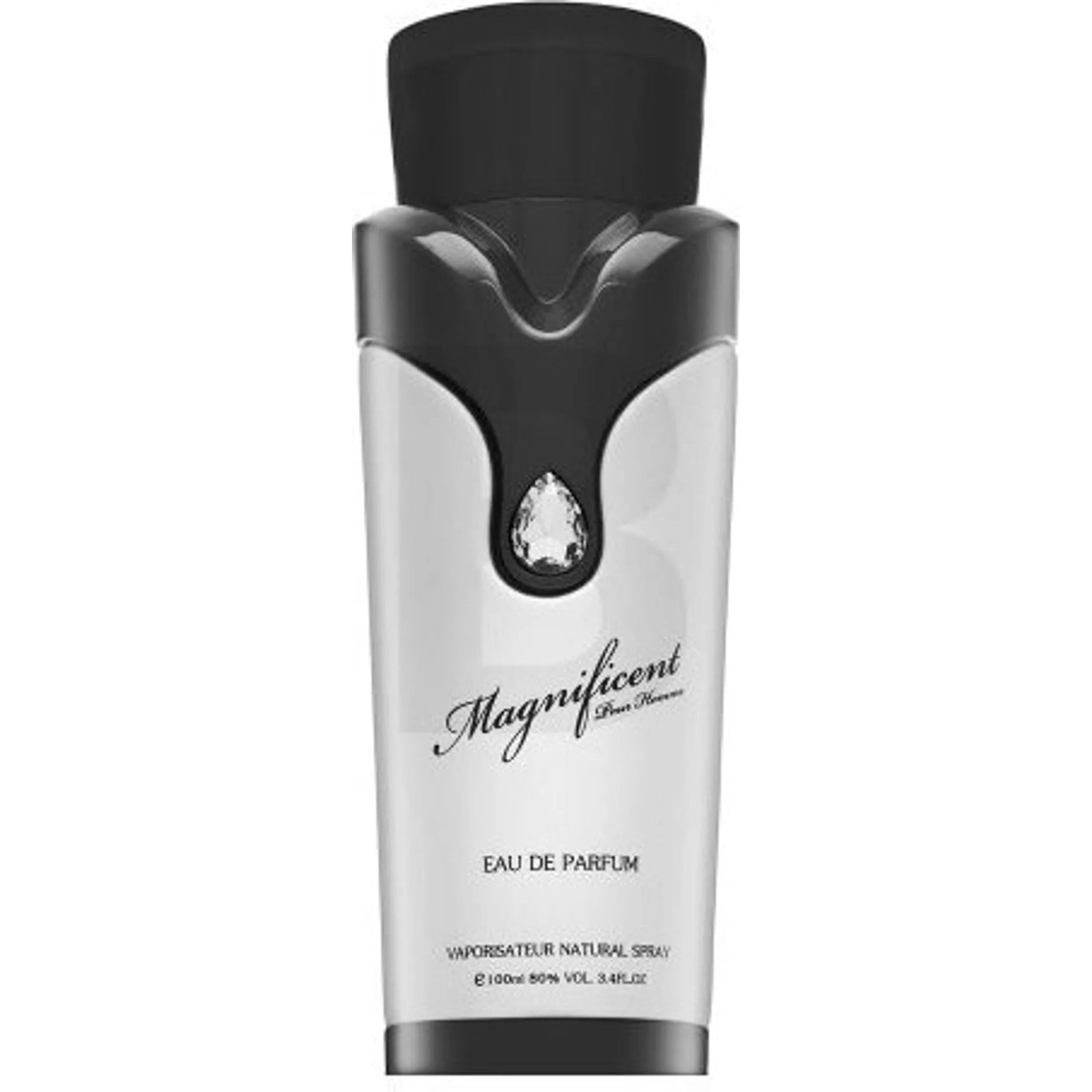 Armaf Magnificent Pour Homme Edp 100ml