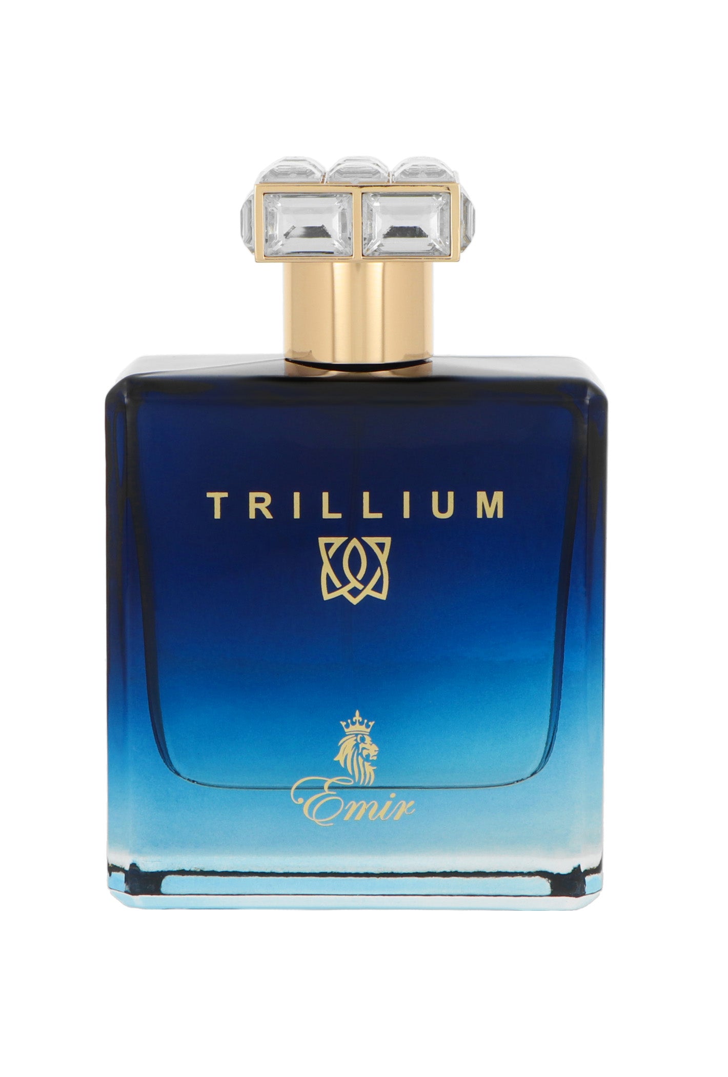 Paris Corner Emir Trillium Edp 100ml
